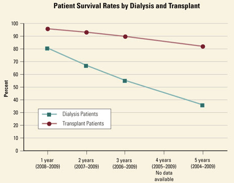 Screen Shot 2017-05-16 at 8.49.31 AM
