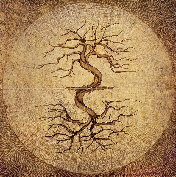Kin Kee Karma Kidney Karma | Shared Parts